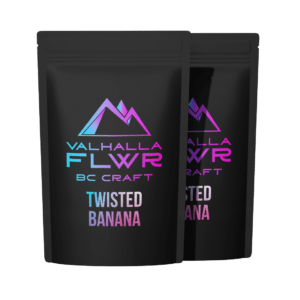 Twisted banana - two pouch mockup - black