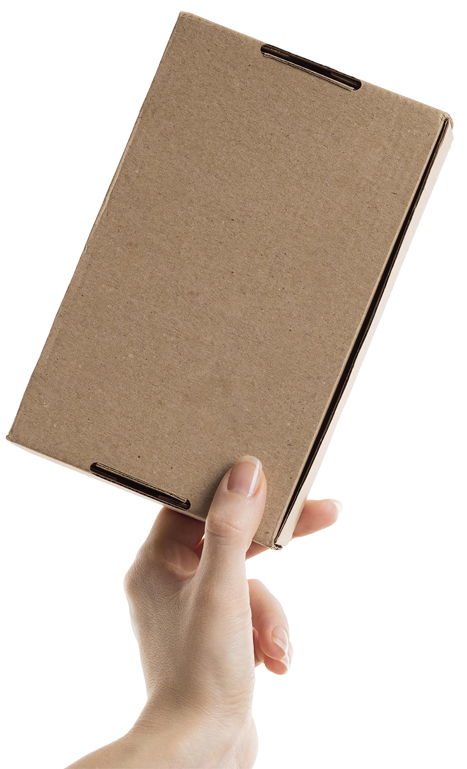 hand-holding-cardboard-box CX3