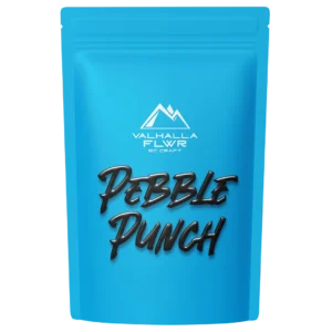 version 3 - pebble punch CX2