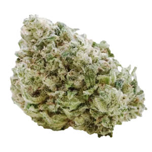 Crenshaw Melon GS1 CX2
