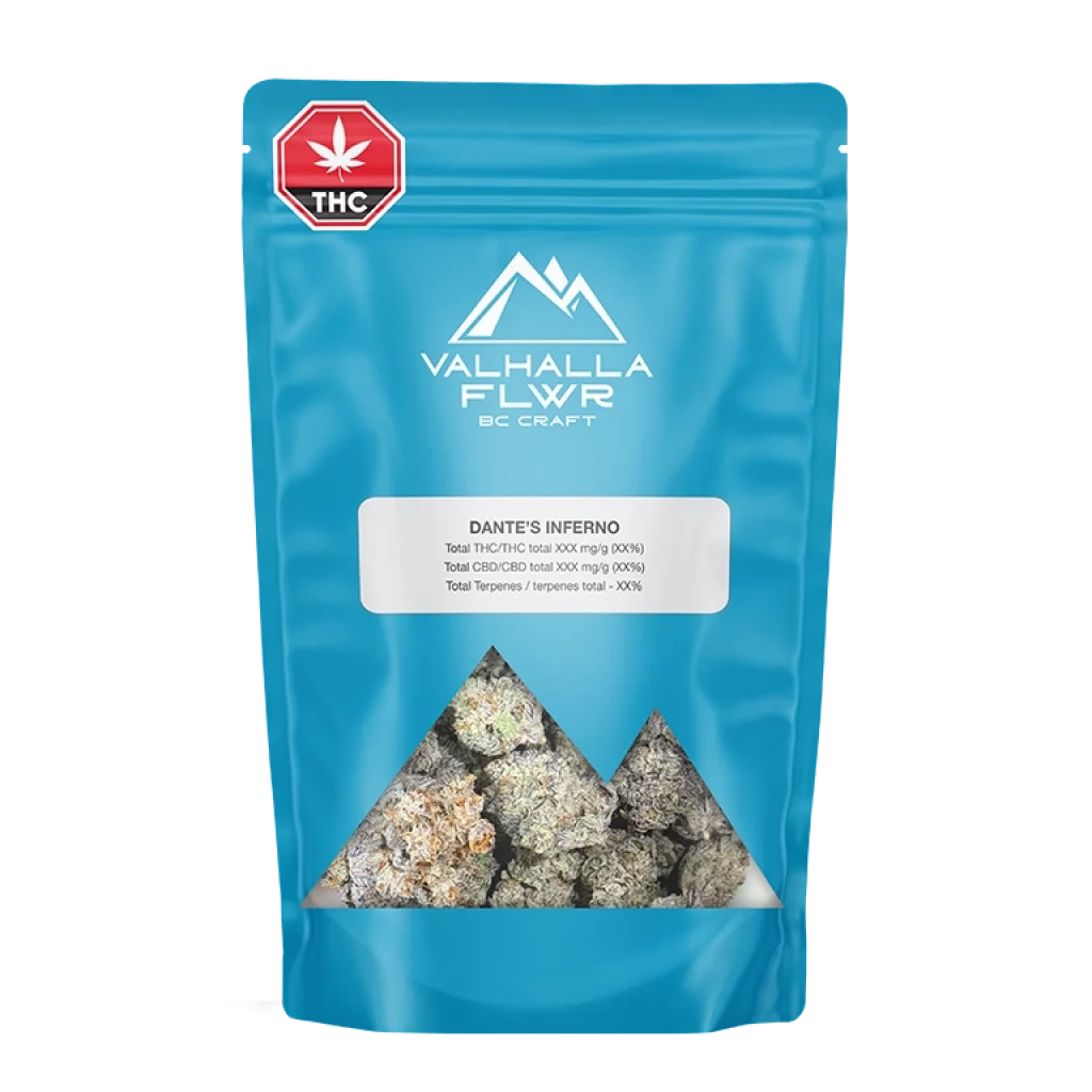 dantes-inferno-bag-768x768