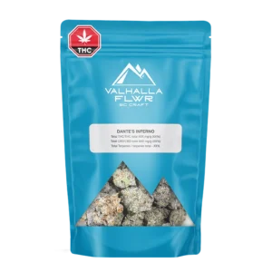 dantes-inferno-bag-768x768