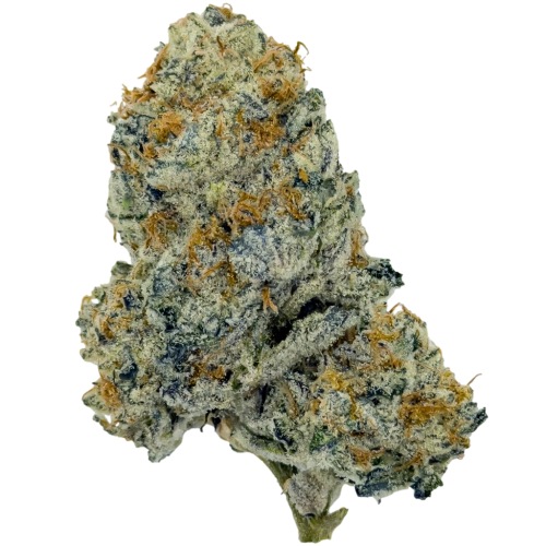 dantes-inferno-bud-new