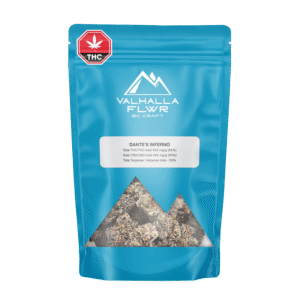 dantes-inferno-web-bag